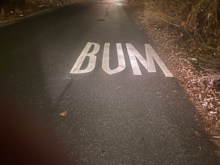 bum in road.jpg